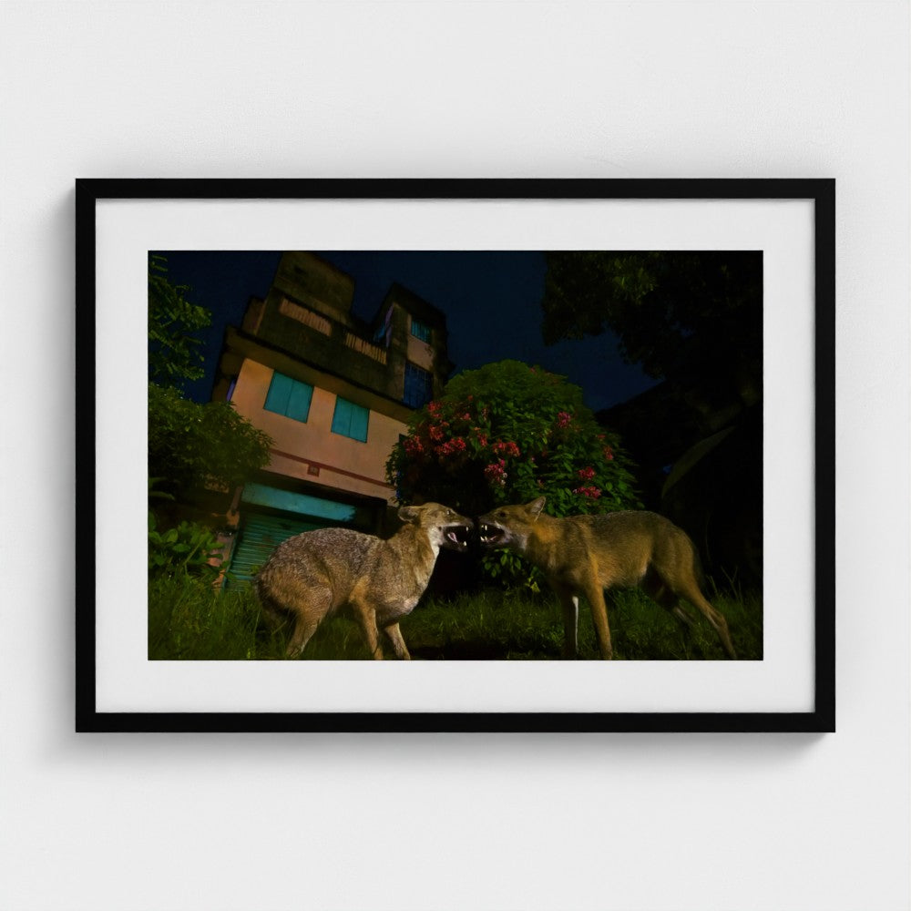 Arghya Adhikary: I am the boss