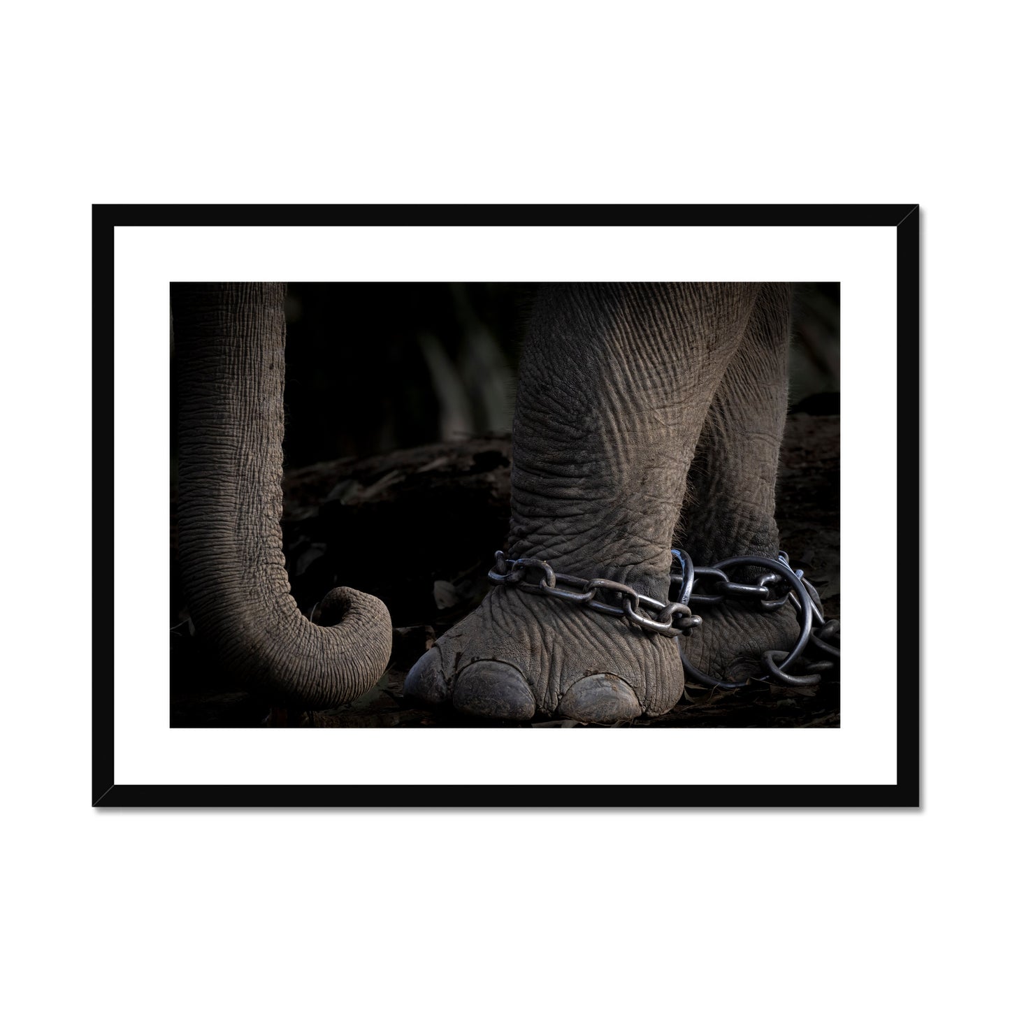 Charlotte Keast: Ankle bracelets