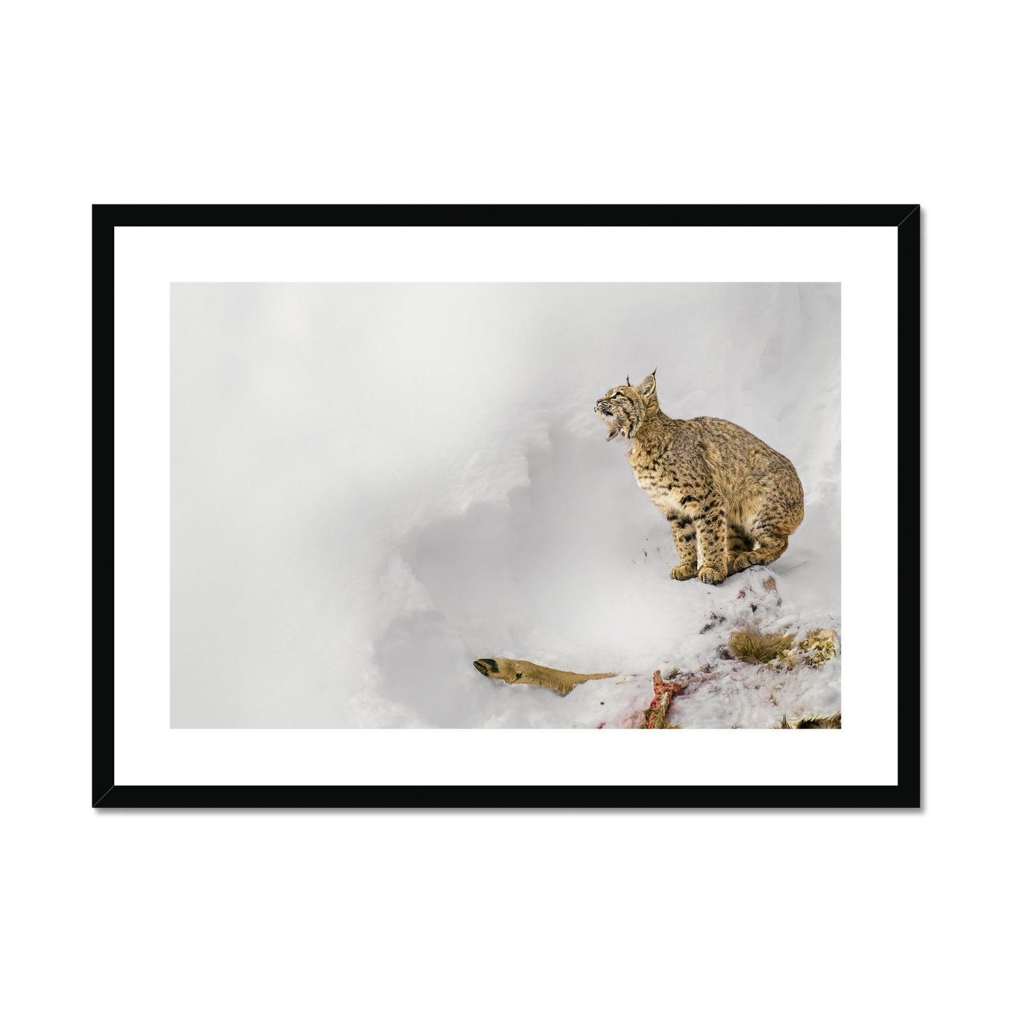 Elizabeth Yicheng Shen: Guarding