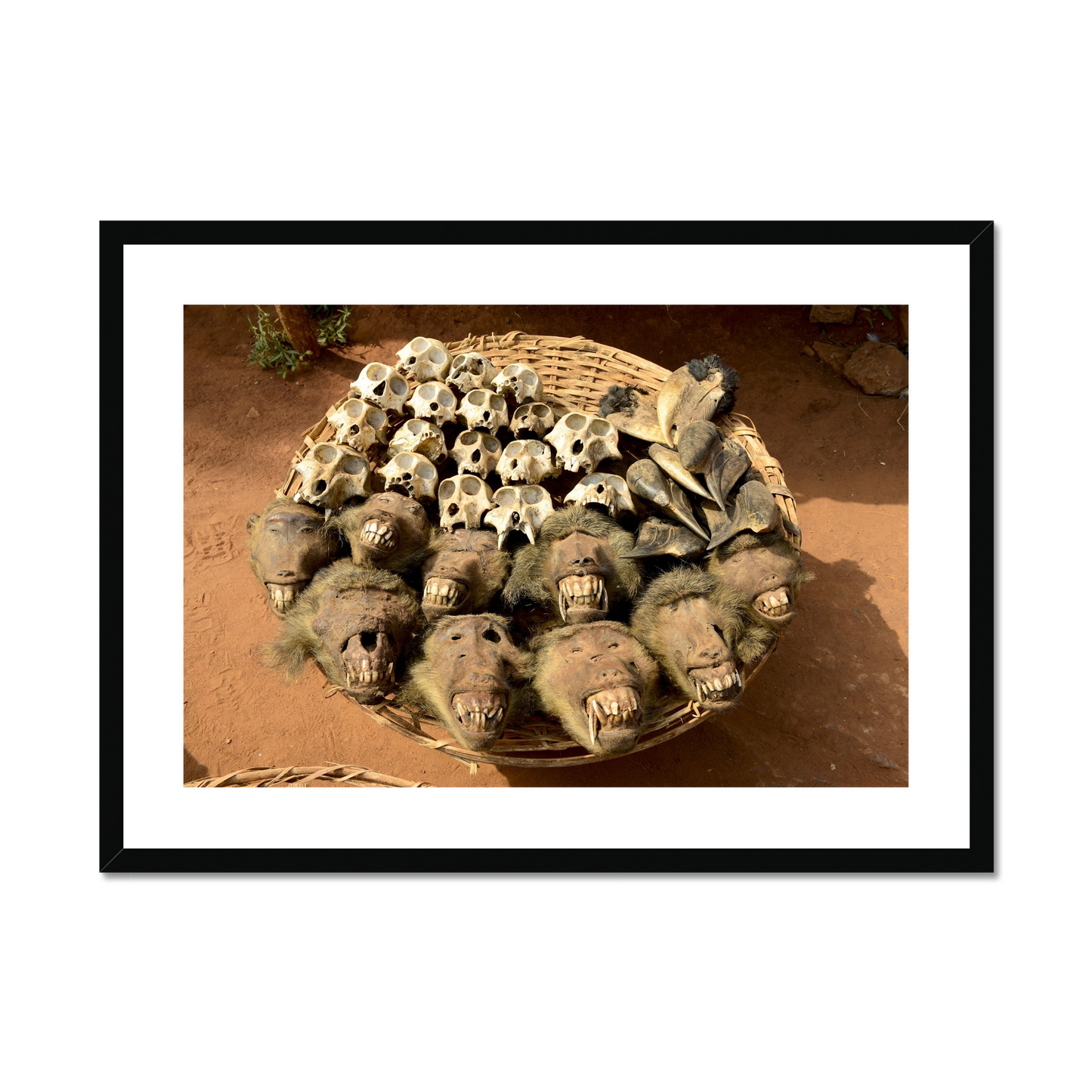 Enrique Lopez Tapia: Voodoo sacrifices