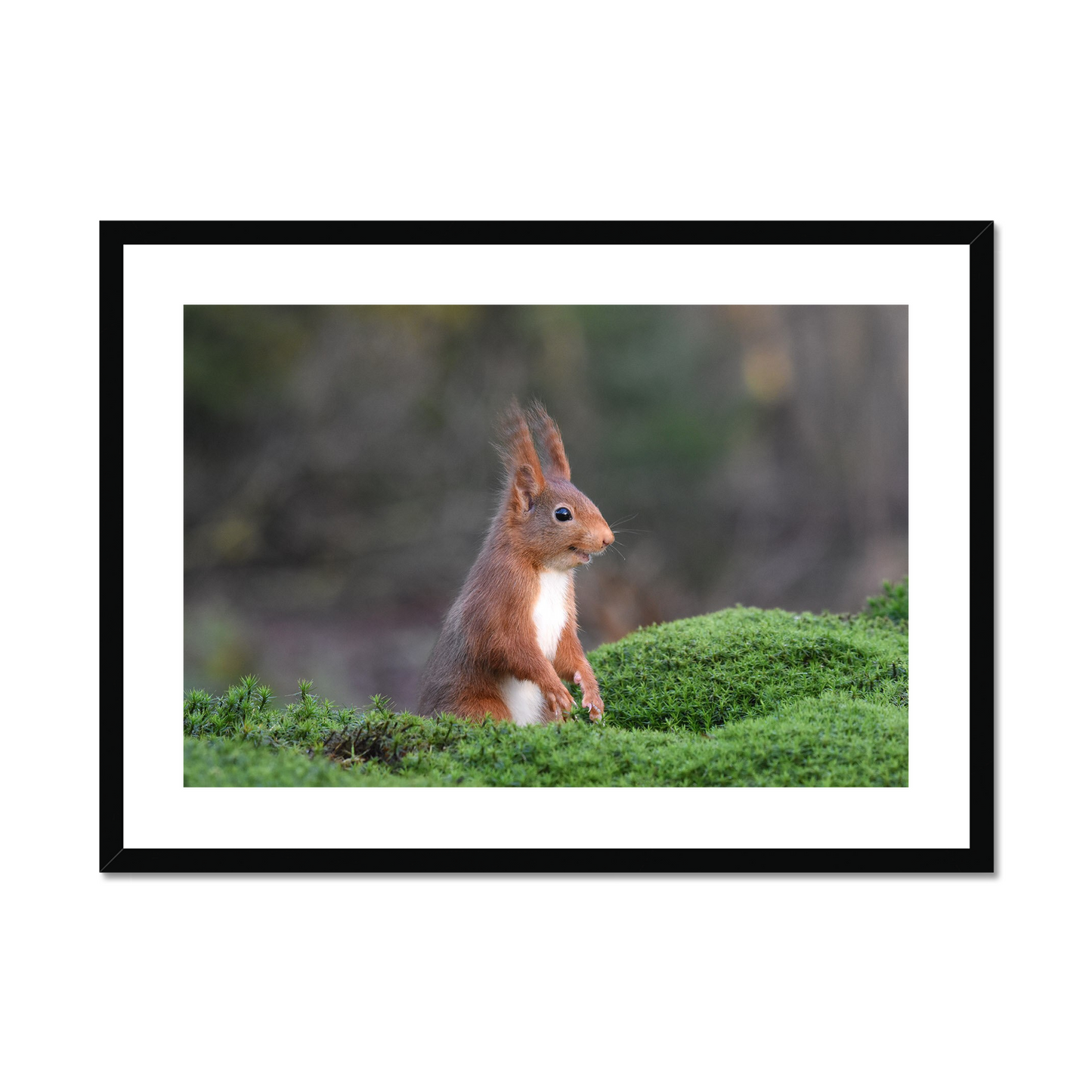 Femke van Willigen: The inside joke