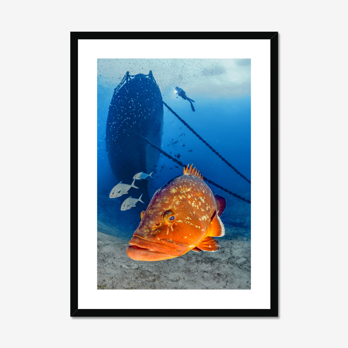 Ferenc Lorincz: Front of the wreck