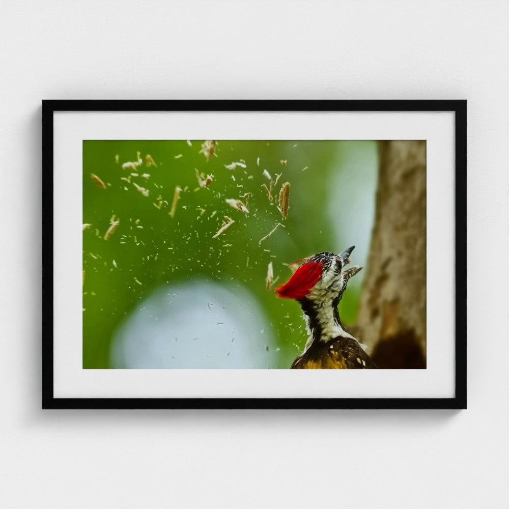 Hemin Patel: Home building