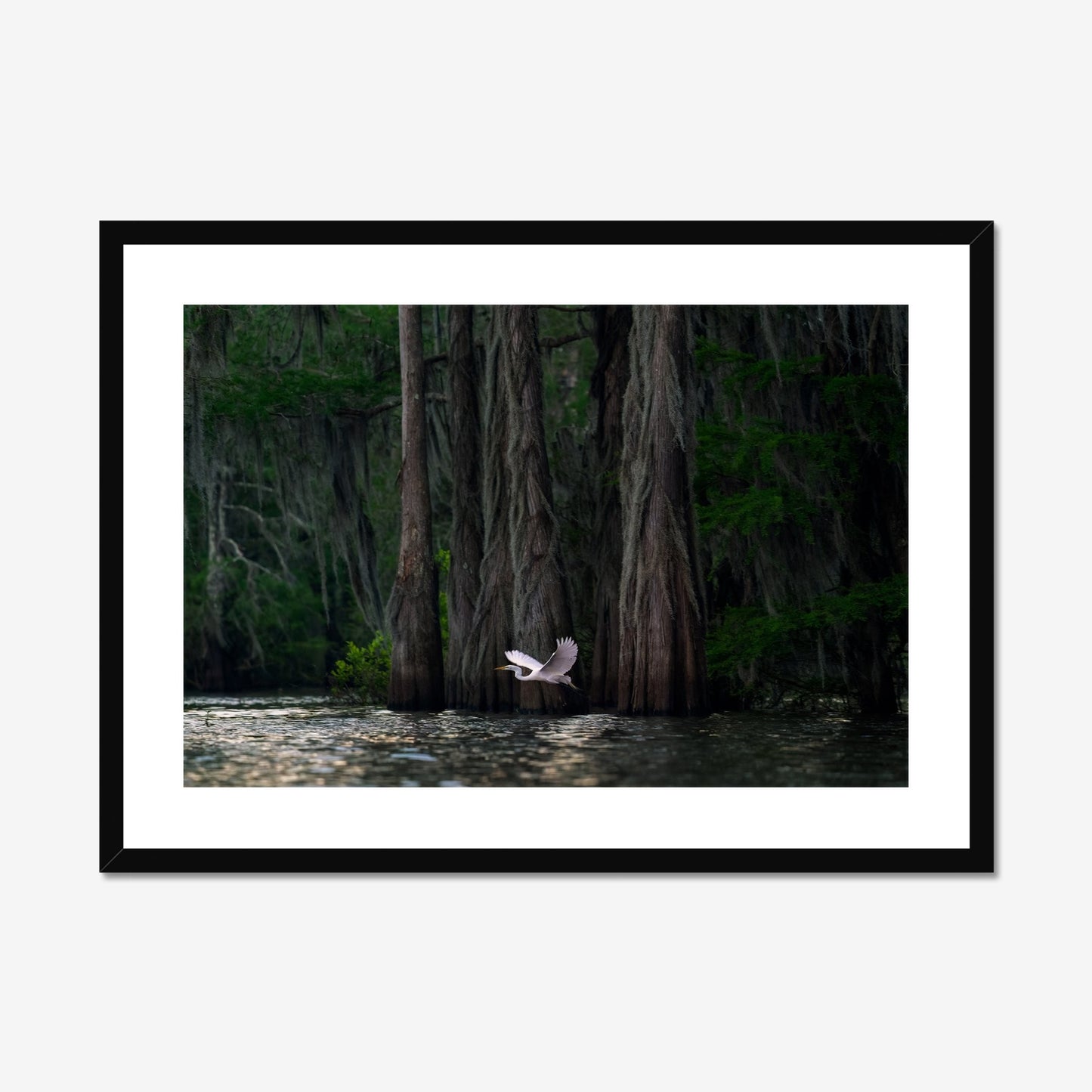 Irene Amiet: Atchafalaya Dawn