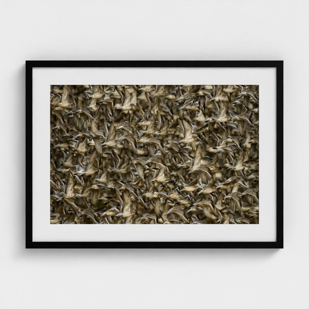 Clive Burns: Knot in focus