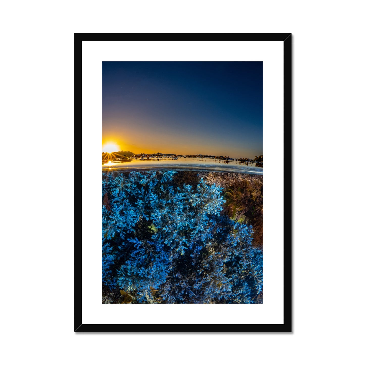 Martin Stevens: Rainbow wrack at sunrise