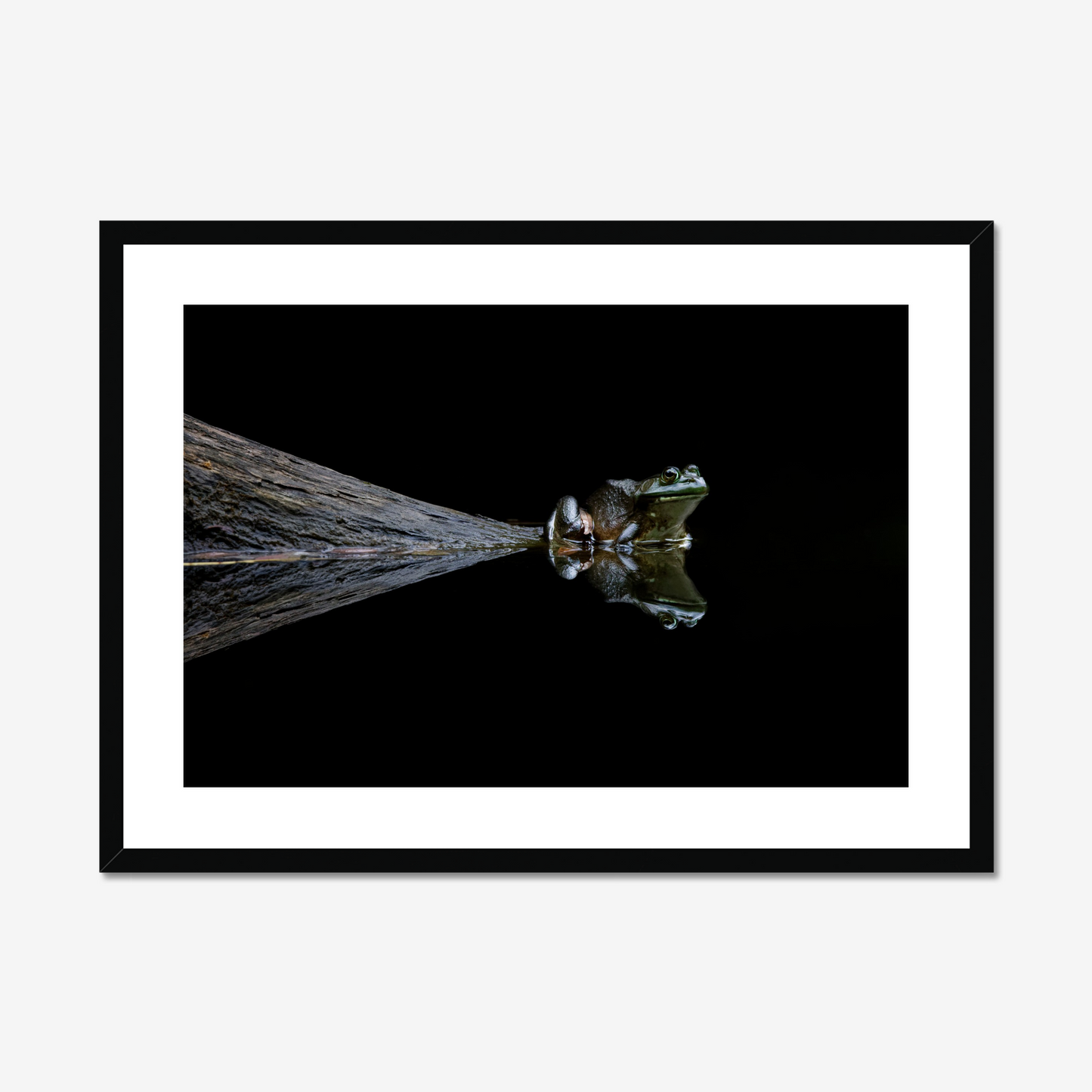 Rafal Dymarkowski: Reflections of the frog