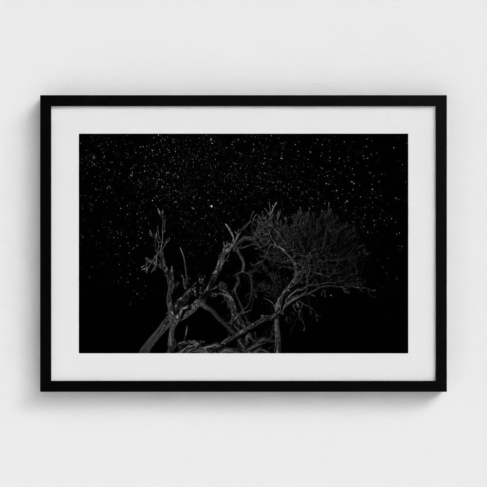 Rajarshi Banerji: Black panther under the stars