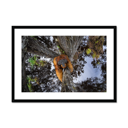 Thomas Vijayan: The world is going upside down