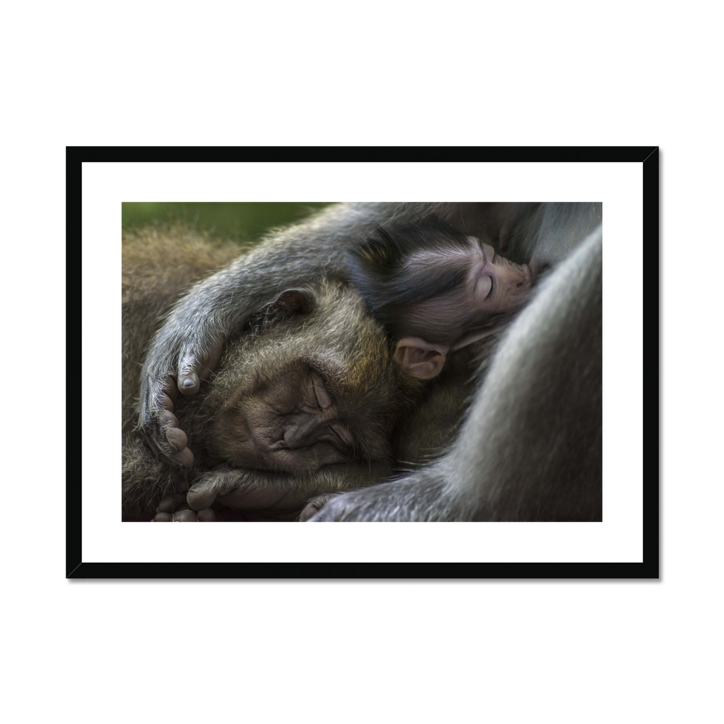 Tom Vierus: Family moment