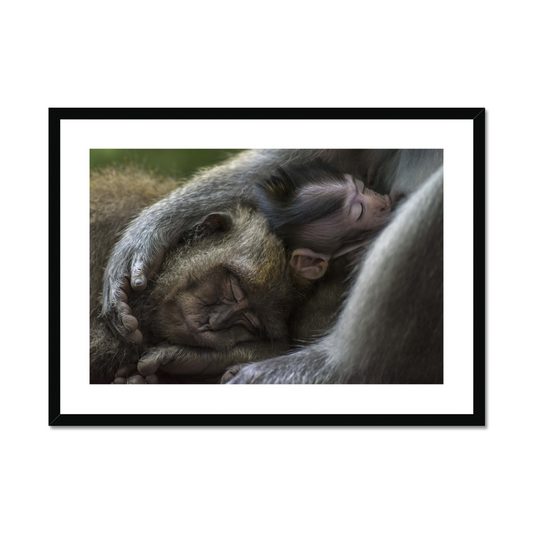 Tom Vierus: Family moment