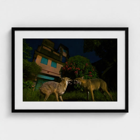 Arghya Adhikary: I am the boss