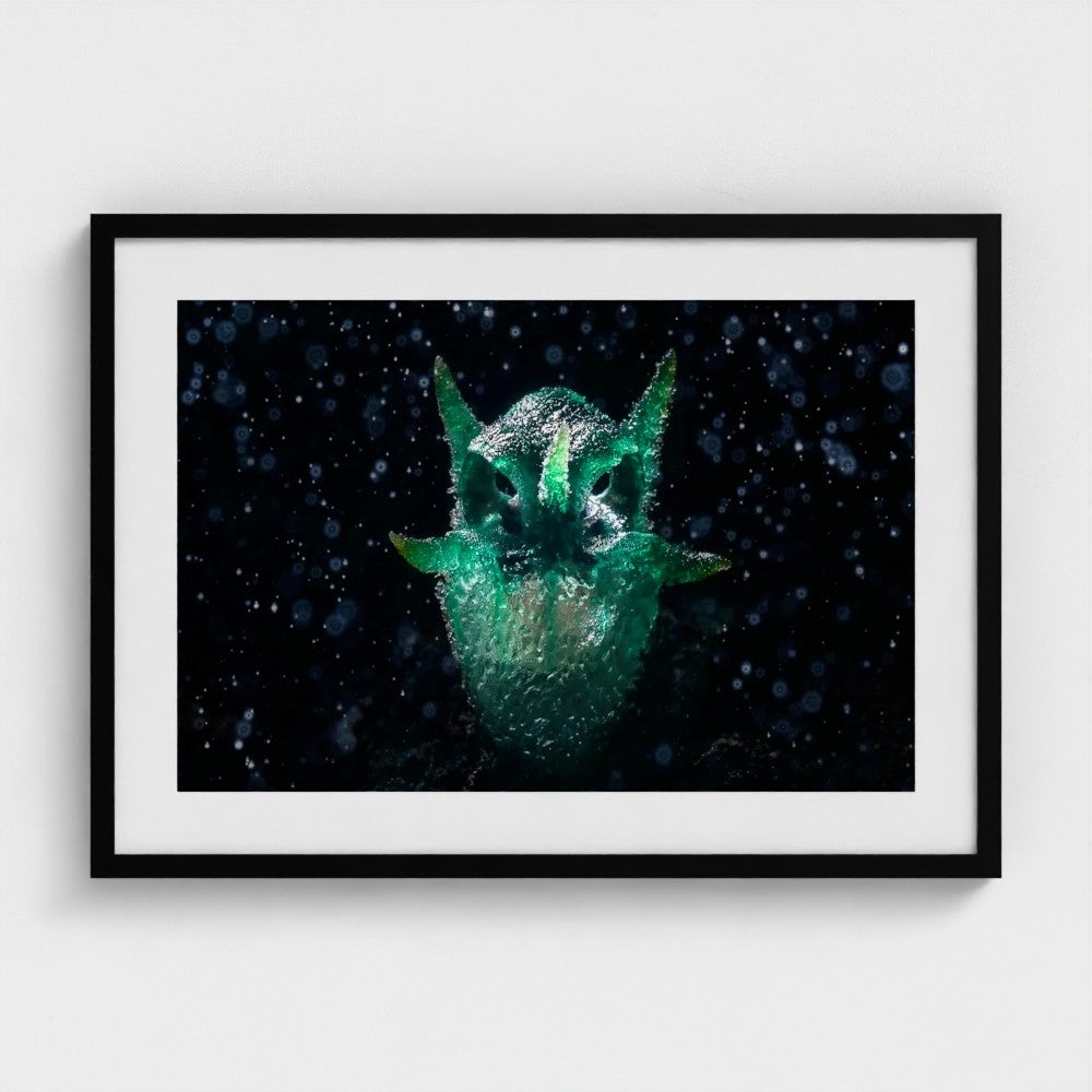 Chatree Lertsintanakorn: Like an owl