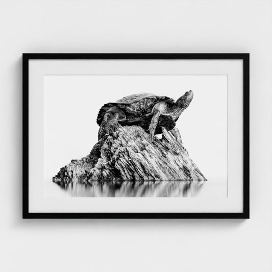 Christopher Baker: Sunbathing