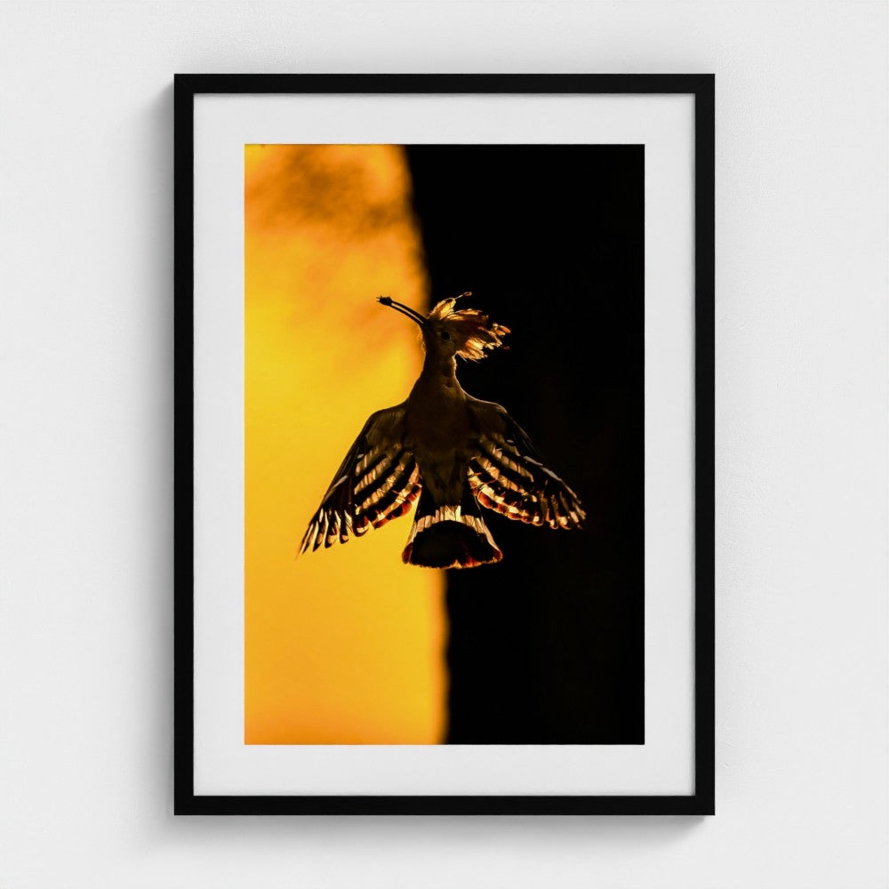 Hermis Valiyandiyil: Dawn's whispers