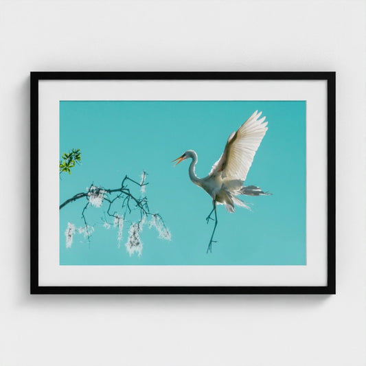 Fenqiang Liu: Arrival