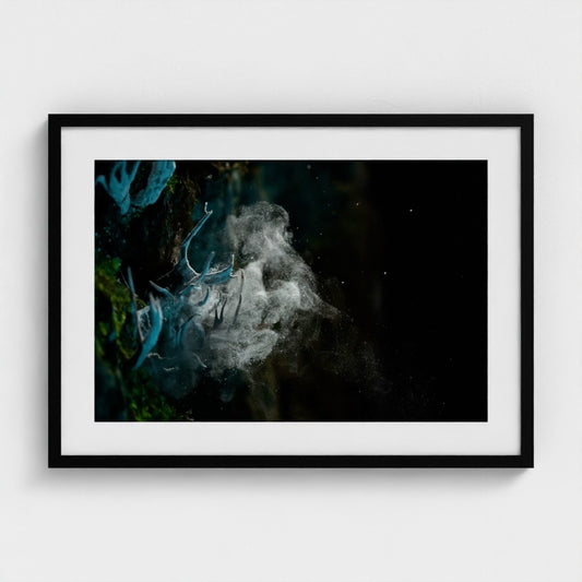 Giovanni Vicari: Explosion of life