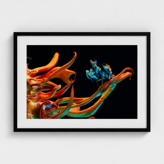 Irina Petrova Adamatzky: The colour out of space