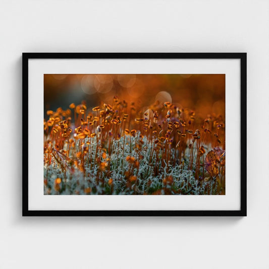 Kai Hypen: Against the light