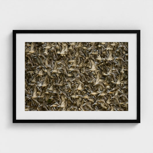 Clive Burns: Knot in focus