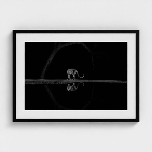 Richard Li: Graceful turn