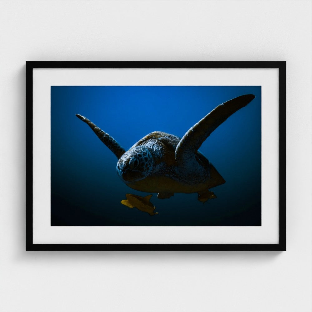 Sina Ritter: The fellowship