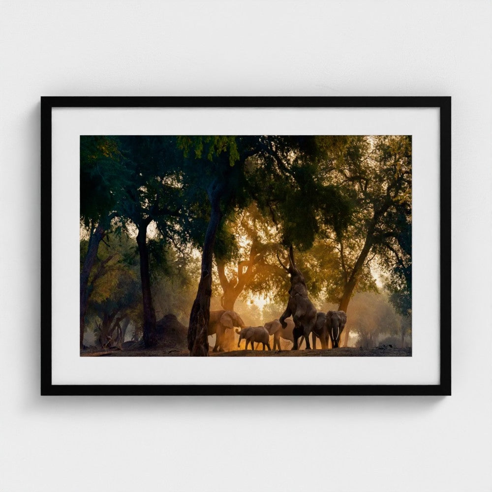 Lukas Walter: Reaching for the top